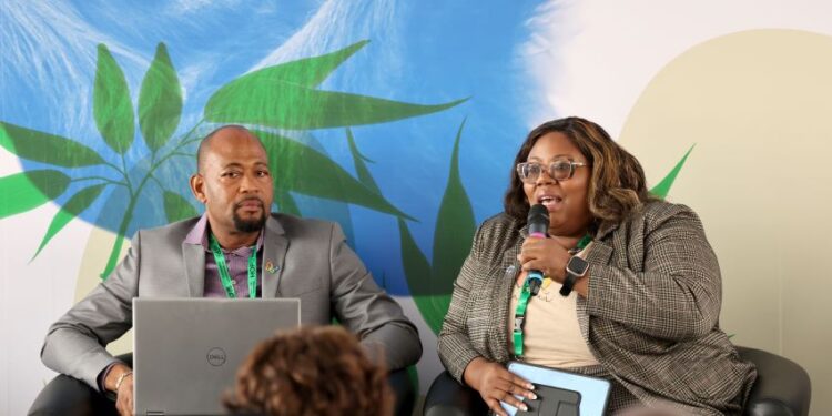 Teshia Jn Baptiste, Senior Project Officer, Sustainable Development, CARICOM Secretariat, makes an intervention during one of the side events at COP 17. (Photo via OECS)