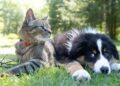 Andrew S photo
