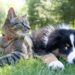 Andrew S photo