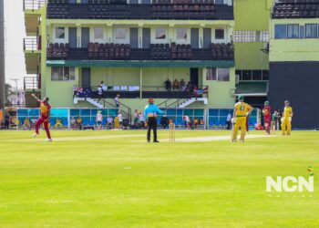Over 40 cricket (NCN photo)