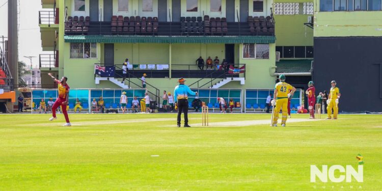 Over 40 cricket (NCN photo)