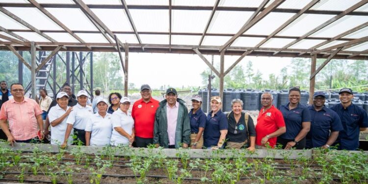 Shade Houses to Expand Women’s Farming in Region One
