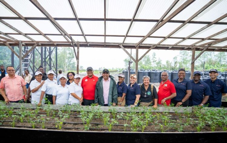 Shade Houses to Expand Women’s Farming in Region One
