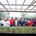 Shade Houses to Expand Women’s Farming in Region One