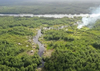 An aerial view of Guyana’s rich biodiversity