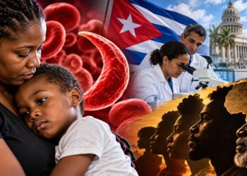 The sickle cell trait evolved as protection against malaria in West and Central Africa; the populations forcibly transported to the Caribbean carried the gene with them. Today, about one in every 150 Jamaican babies is born with sickle cell disease, and roughly one in ten Jamaicans carries the trait.